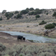 Illustration for article titled Dinosaur National Monument